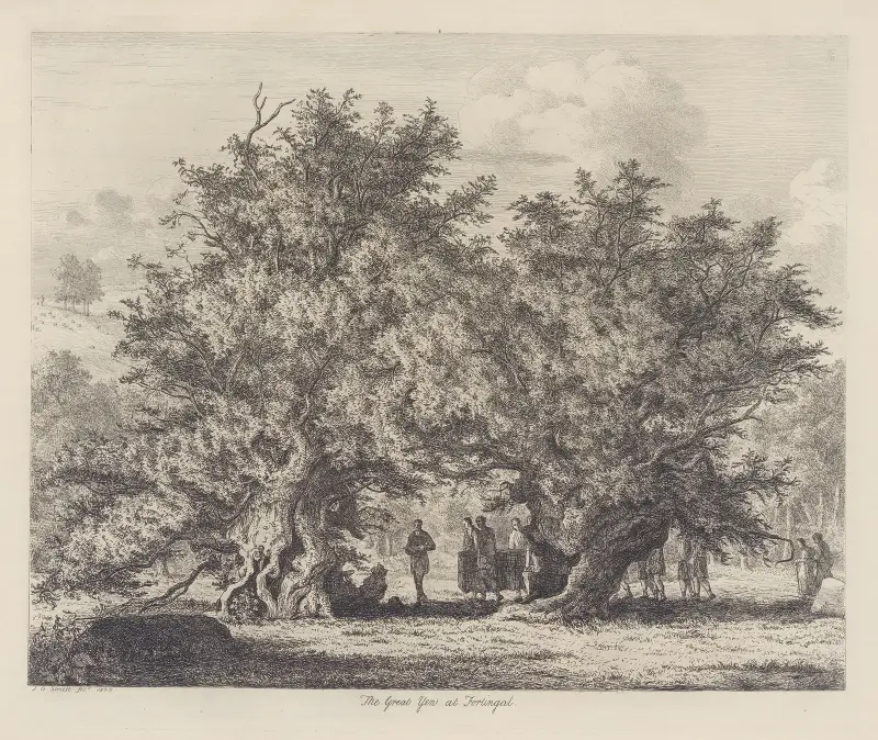 The Fortingal Yew av Jacob George Strutt