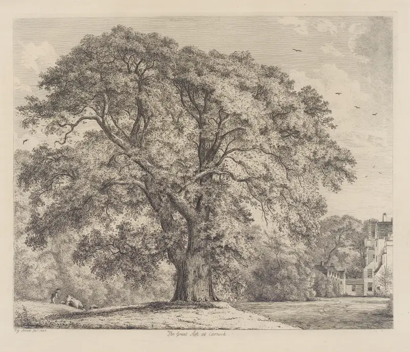 The Great Ash at Carnock av Jacob George Strutt