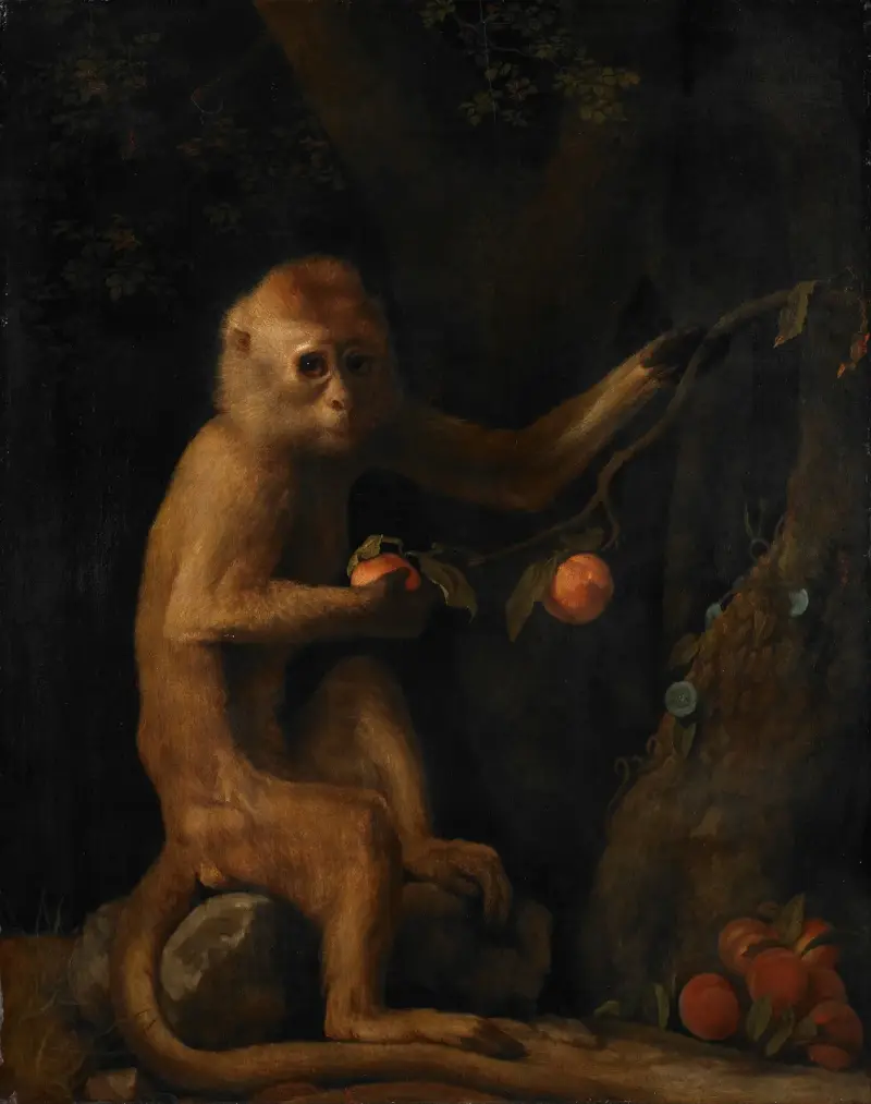 Ein Affe von George Stubbs