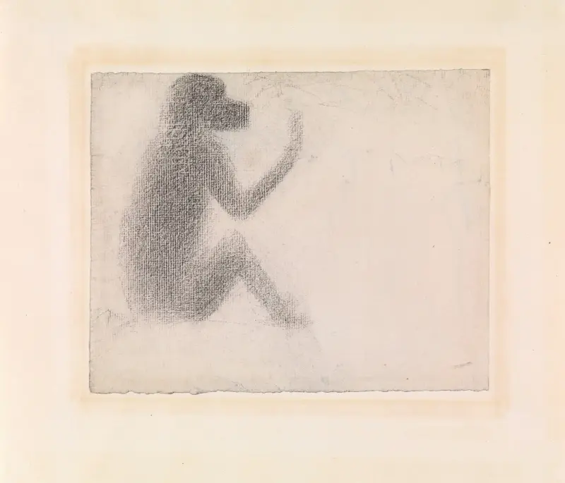 Seated Monkey av Georges Seurat