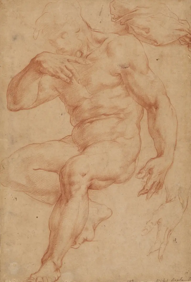 Studien eines männlichen Akts, einer Draperie und einer Hand von Giorgio Vasari
