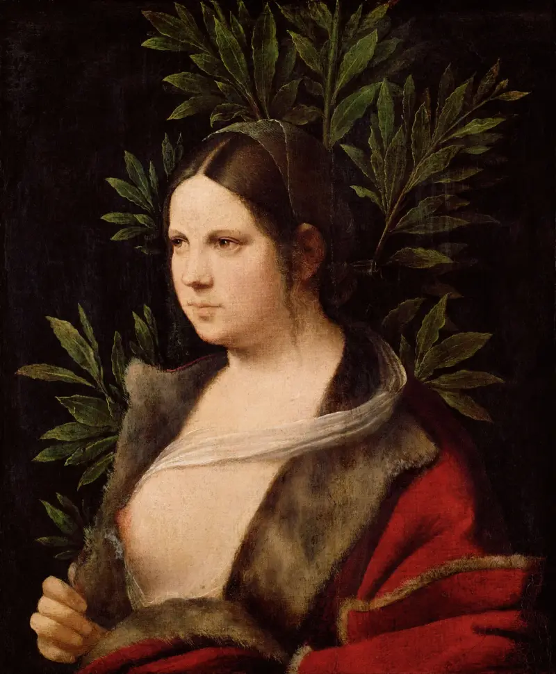 Young Woman (“Laura”), Giorgione