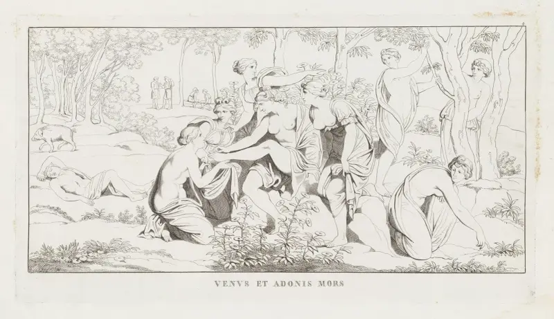 Venuše a smrt Adónisova, Giulio Romano