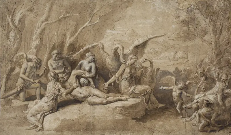 Wenus opłakująca śmierć Adonisa, Giulio Romano