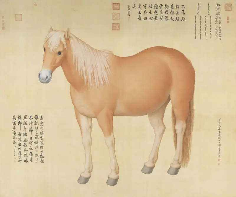 Hongyuzuo von Giuseppe Castiglione