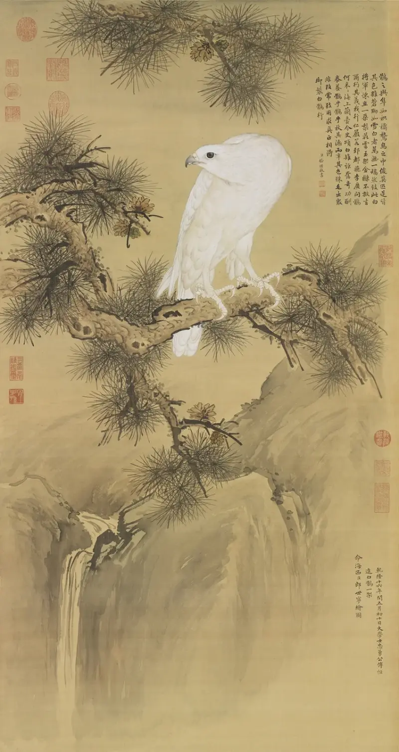 Weißer Greifvogel von Giuseppe Castiglione