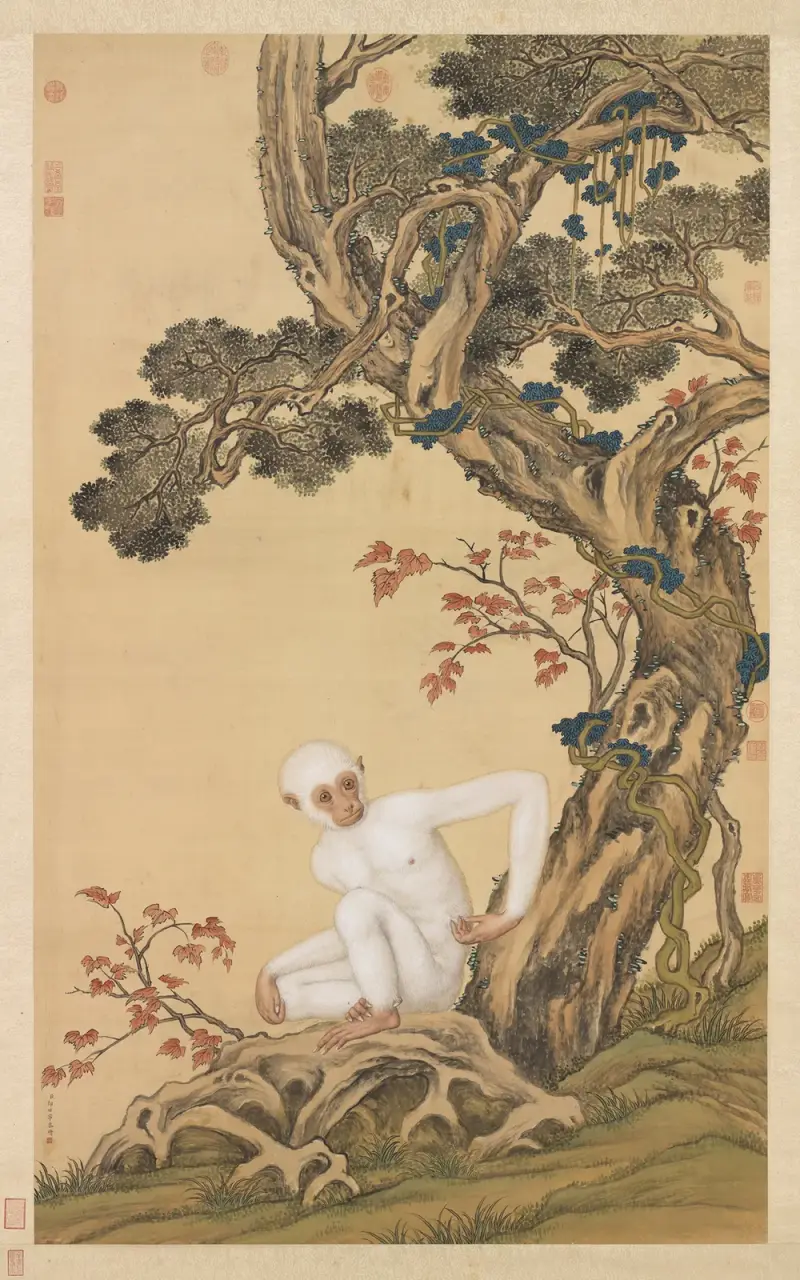 Vit gibbon av Giuseppe Castiglione