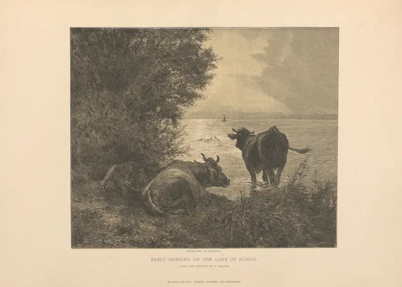 Früher Morgen am Zürichsee von Theodor Gsell Fels