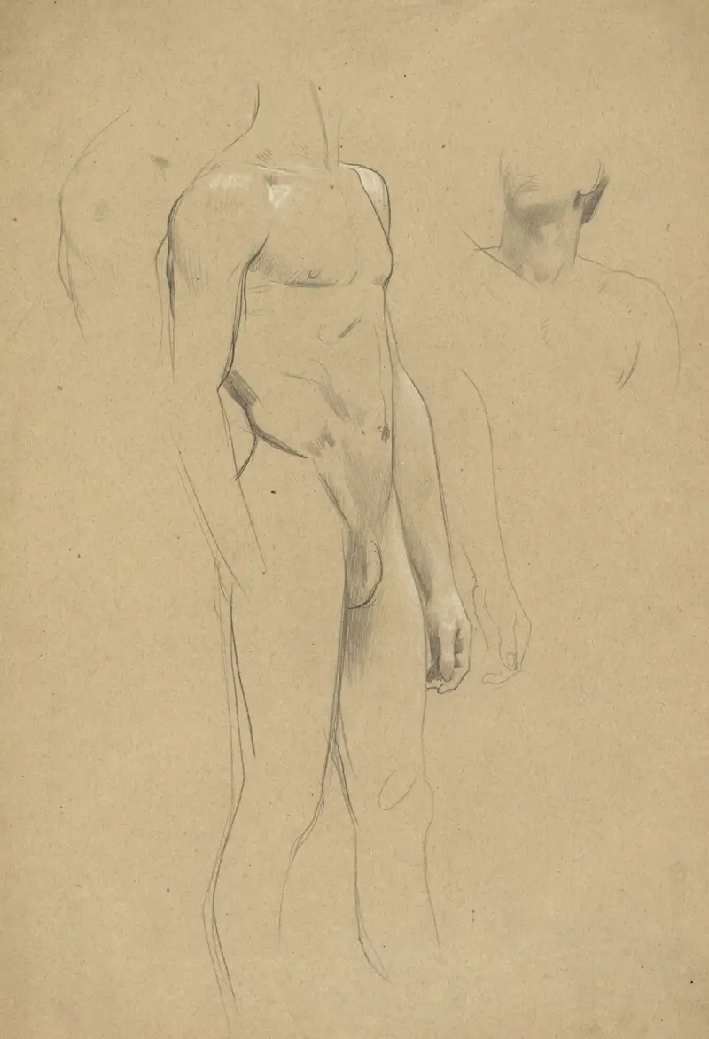 Manlig akt utan huvud, hals- och axelstudie av Gustav Klimt