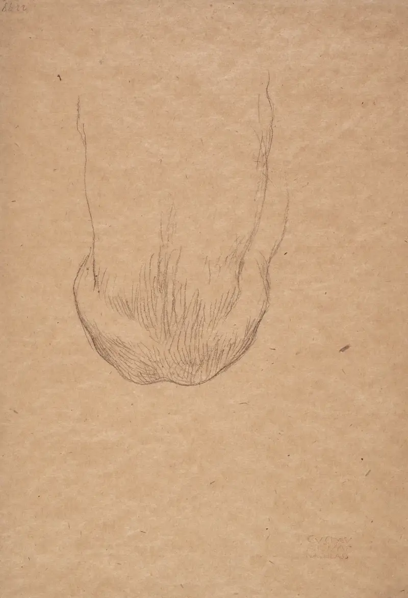 Sitzender männlicher Rückenakt av Gustav Klimt