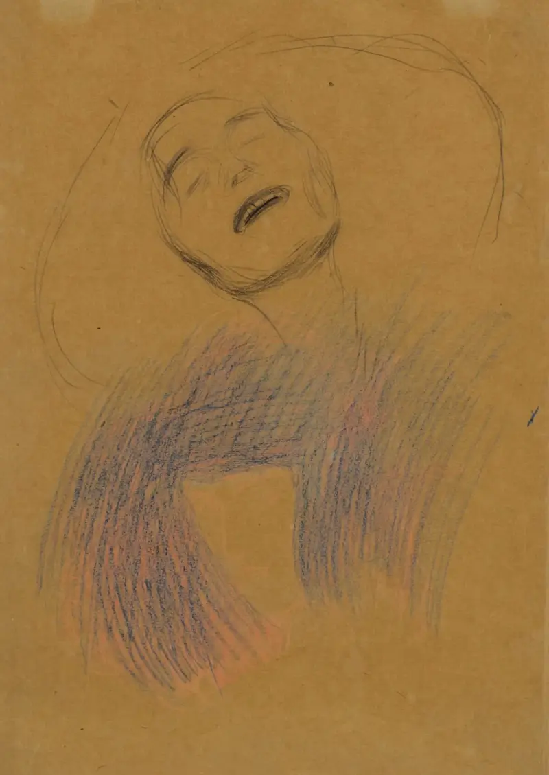 Weiblicher Kopf, Dekorative Lineare Strukturen von Gustav Klimt