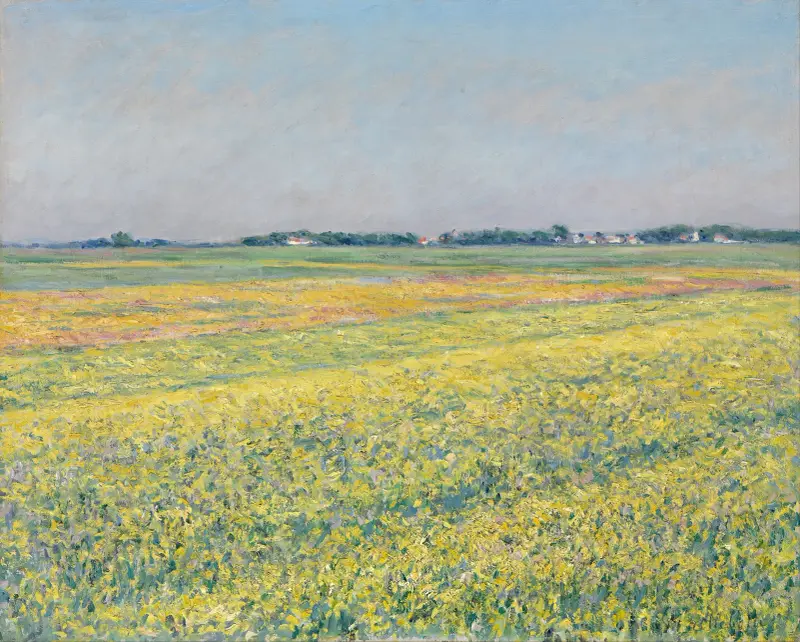 Die Ebene von Gennevilliers, gelbe Felder von Gustave Caillebotte