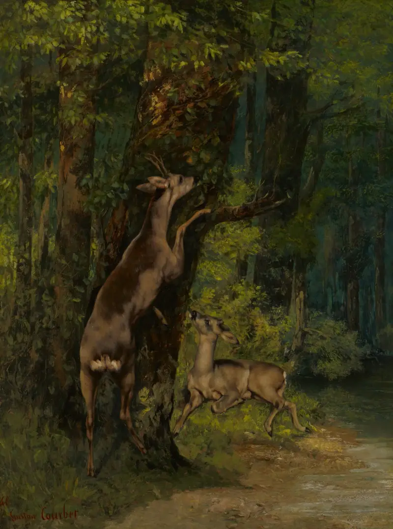 Deer in the Forest av Gustave Courbet