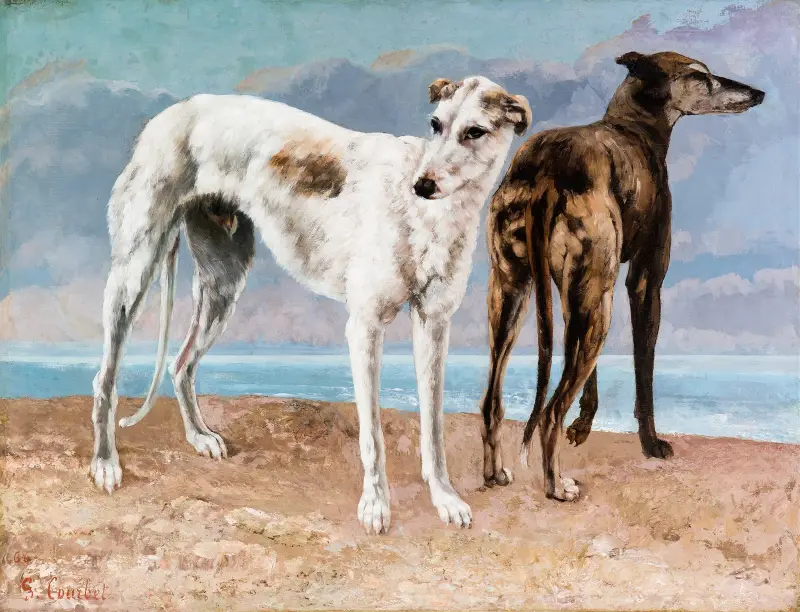 Comte de Choiseuls vinthundar av Gustave Courbet