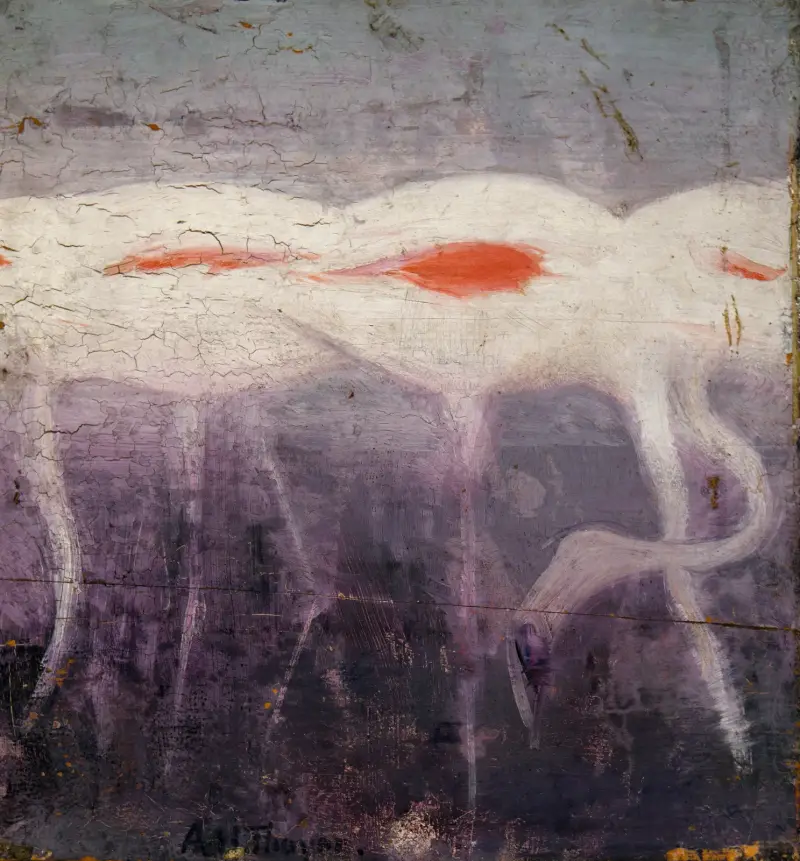 Vita flamingos, studie till boken Concealing Coloration in the Animal Kingdom av Abbott Handerson Thayer