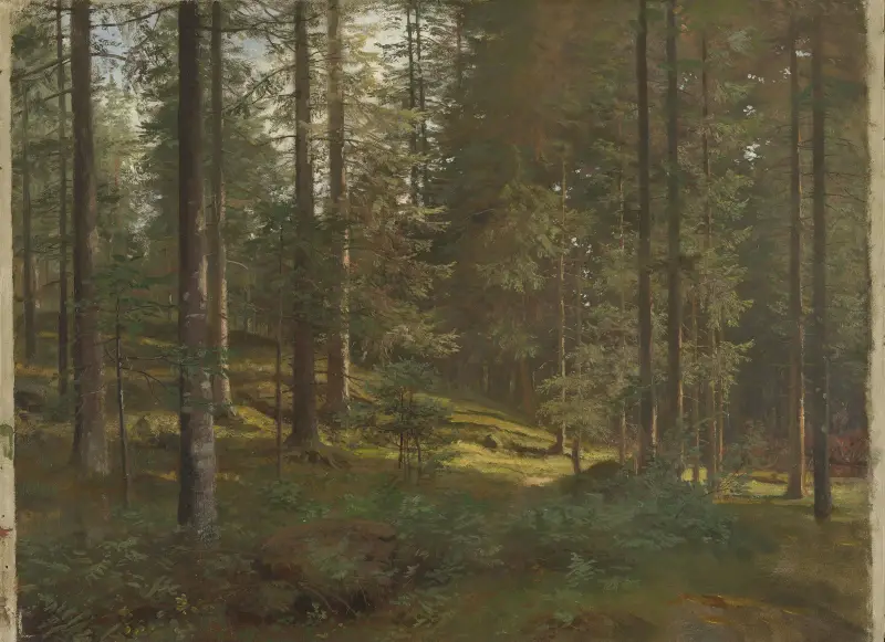 Lesní krajina, Hans Gude