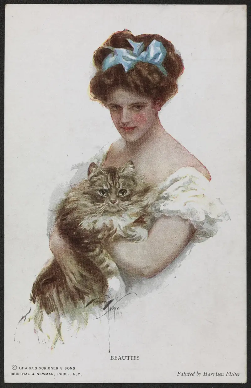 Krásavice, Harrison Fisher