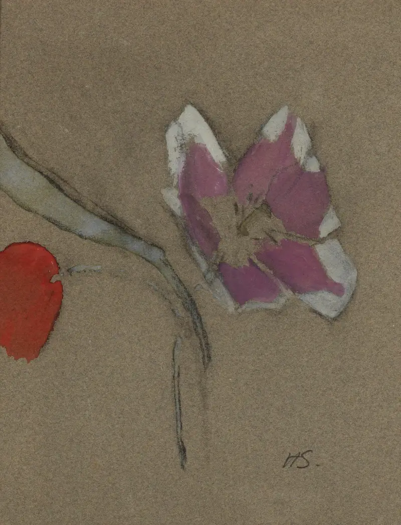 Anemone, Helene Schjerfbeck