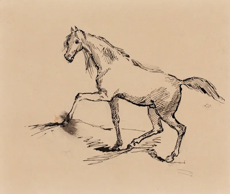 Hevonen, luonnos, Helene Schjerfbeck