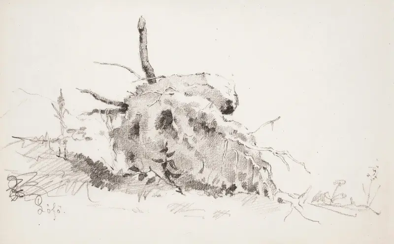 Puun juurakko, Helene Schjerfbeck