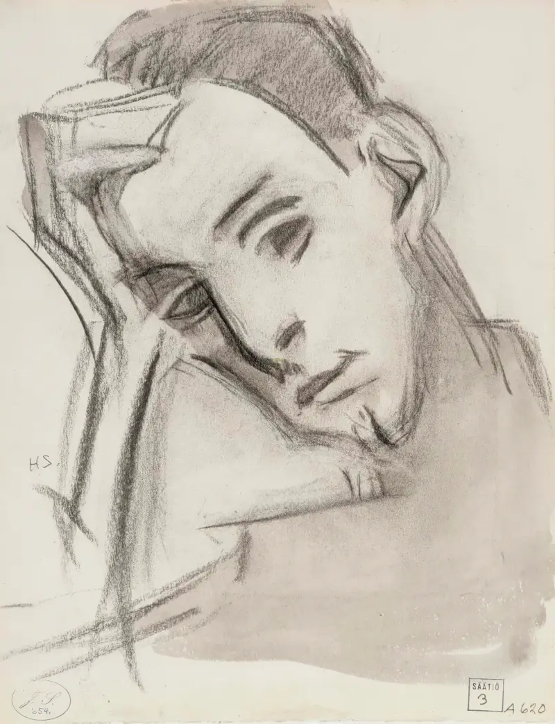 The Nephew, Helene Schjerfbeck