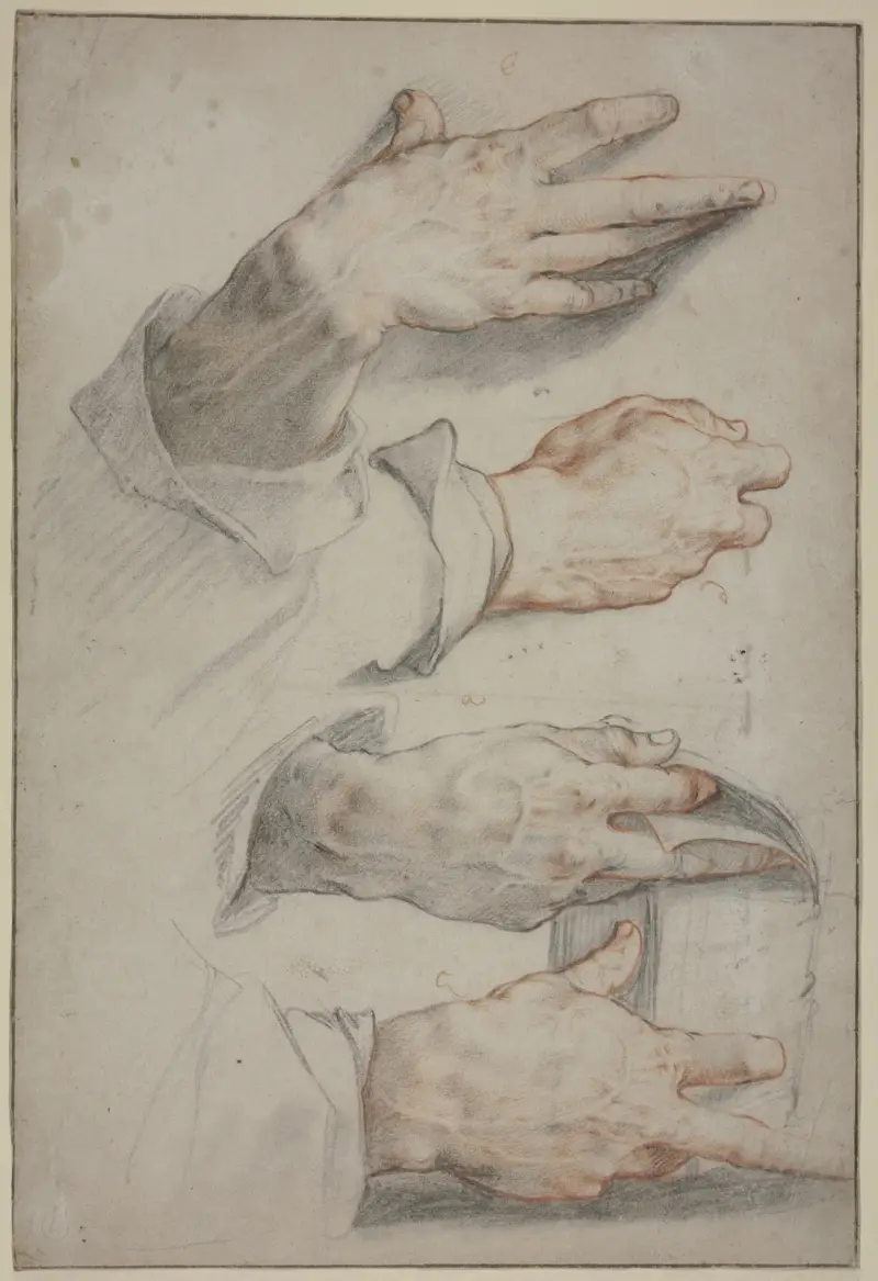 Fyra studier av en högerhand av Hendrick Goltzius