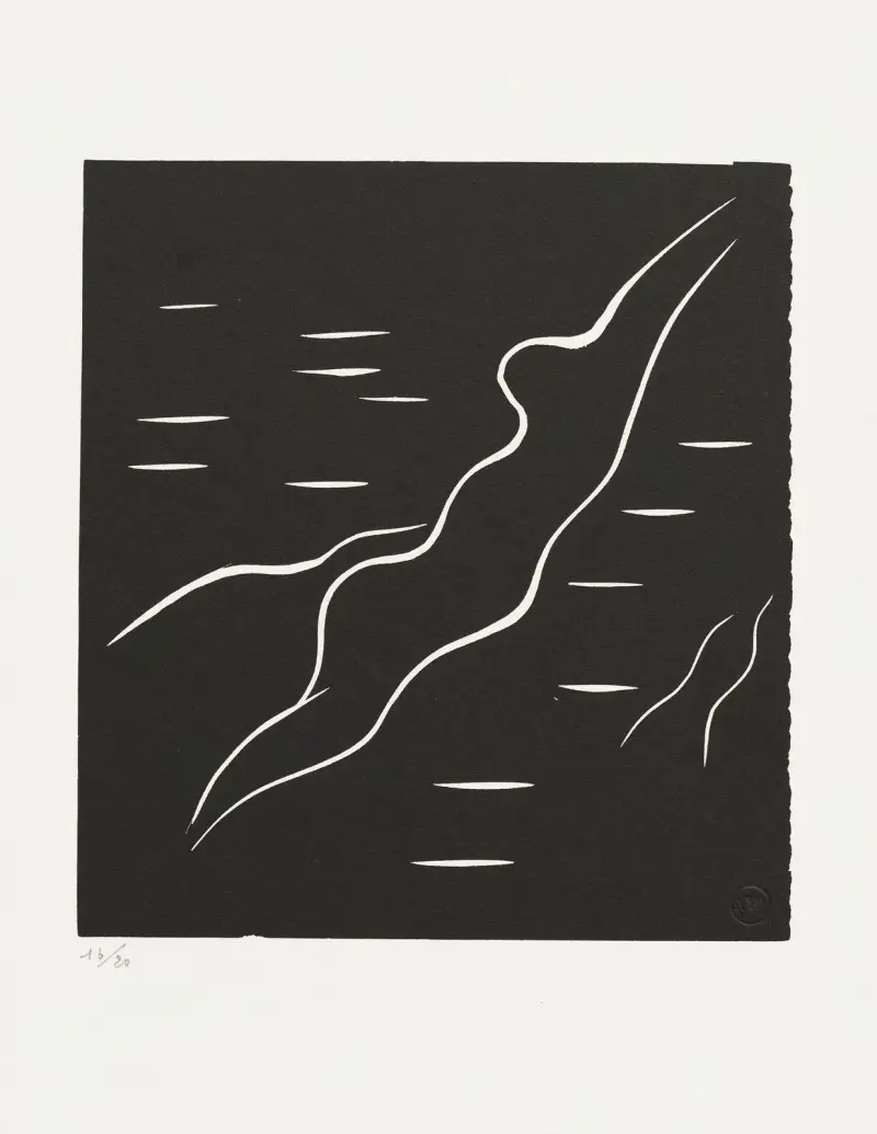 Le plongeon I av Henri Matisse