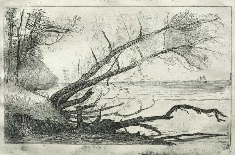 Old Sycamore av Otto Henry Bacher