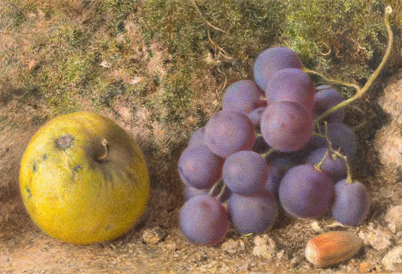 Apple, Grapes and a Cob-Nut av William Henry Hunt