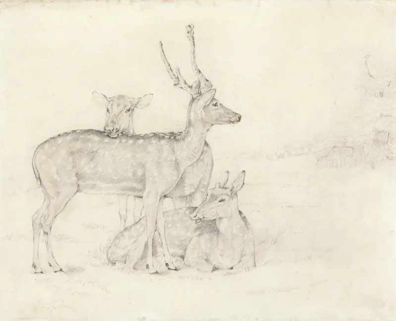 Eine Hirschherde, die in einem Park weidet von Sir Edwin Henry Landseer
