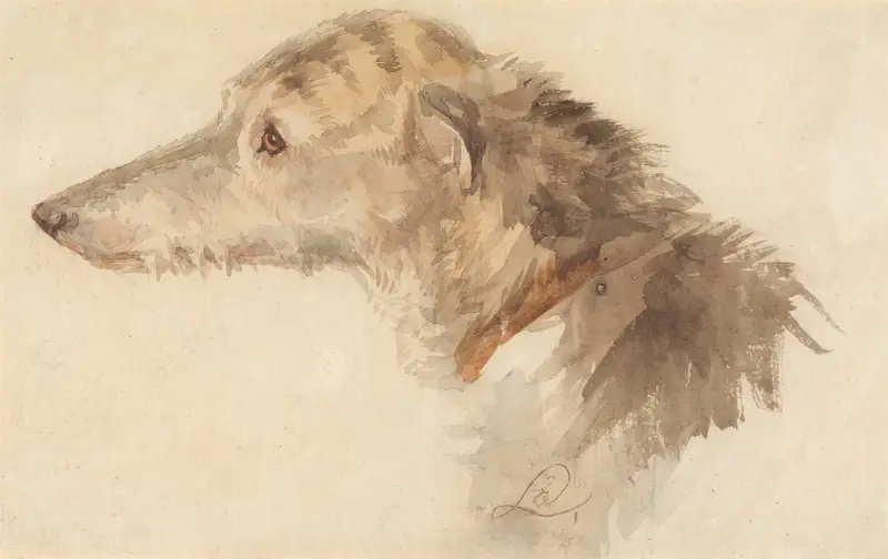 Ein irischer Wolfshund von Sir Edwin Henry Landseer