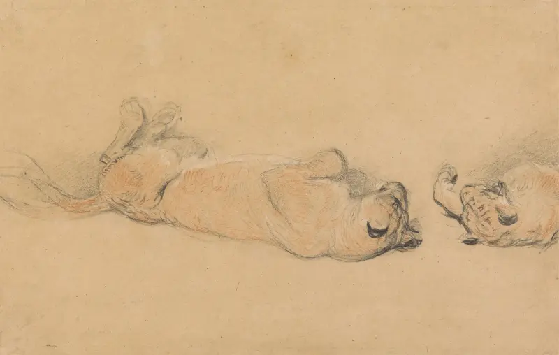 Lions at Play av Sir Edwin Henry Landseer