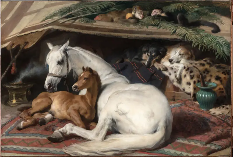 Arabski namiot, Sir Edwin Henry Landseer