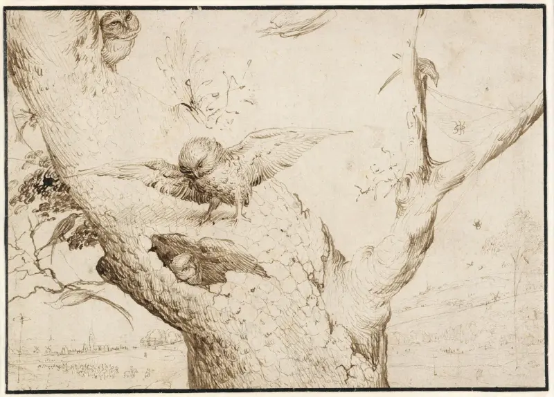 The Owl’s Nest, Hieronymus Bosch