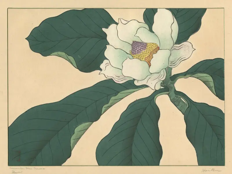 Blüten des Gurkenbaums von Sakai Hōitsu