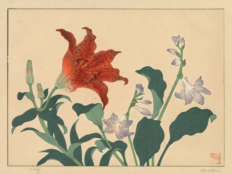 Lily, Sakai Hōitsu