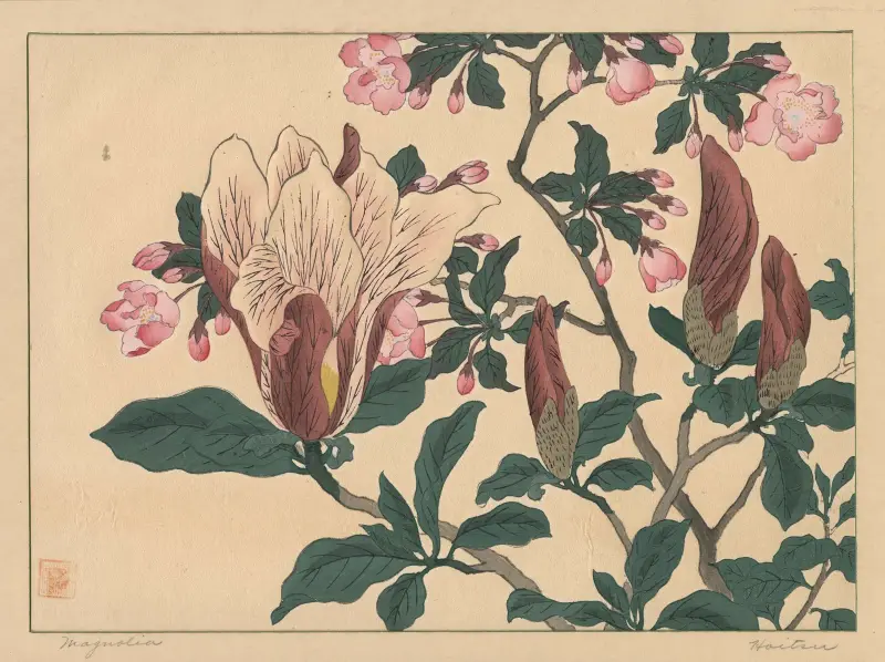 Magnolia, Sakai Hōitsu