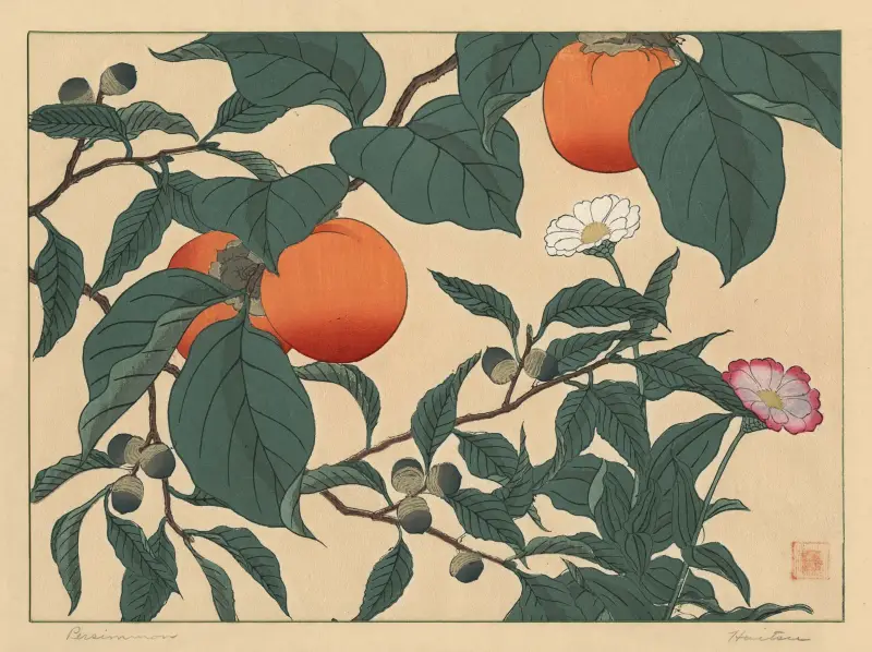 Kaki, Sakai Hōitsu