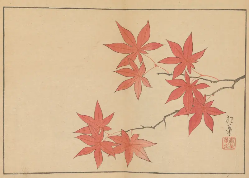 Sakai Hōitsu gajō, plansch 5 av Sakai Hōitsu