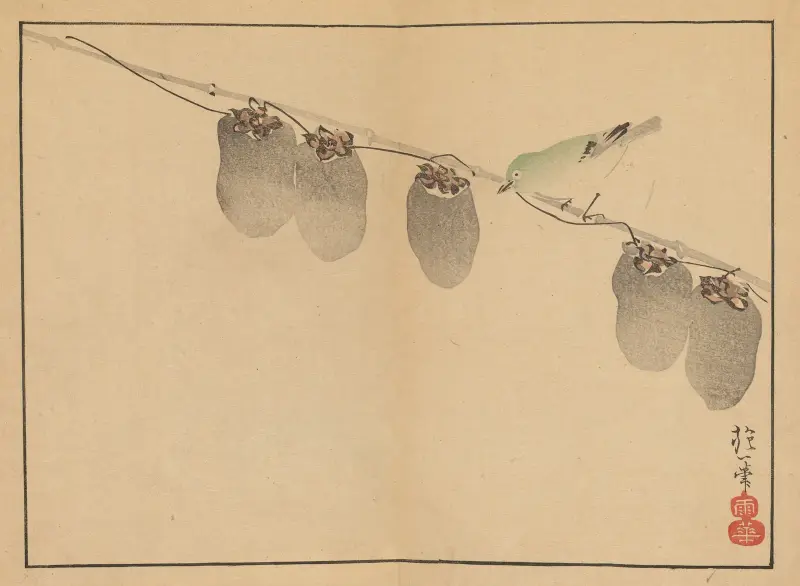 Sakai Hōitsu gajō, Pl.13 av Sakai Hōitsu