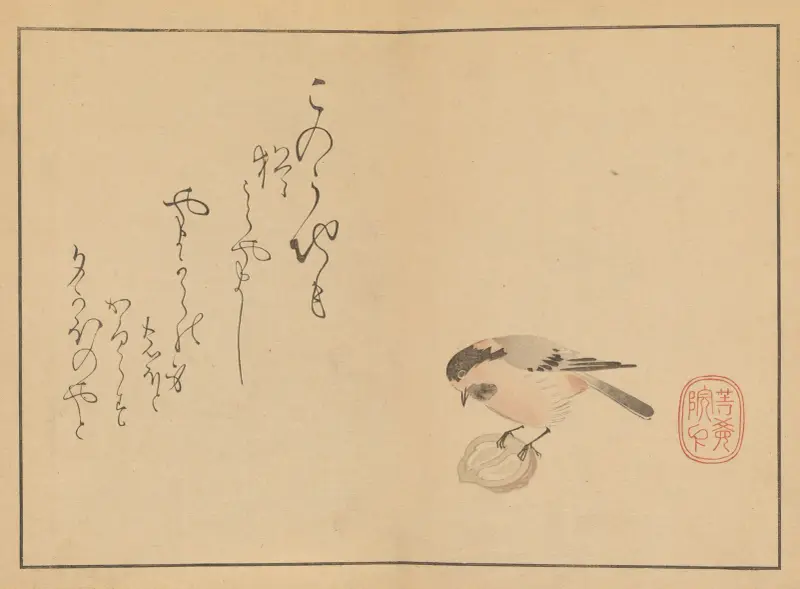 Sakai Hōitsu gajō, plansch 17 av Sakai Hōitsu