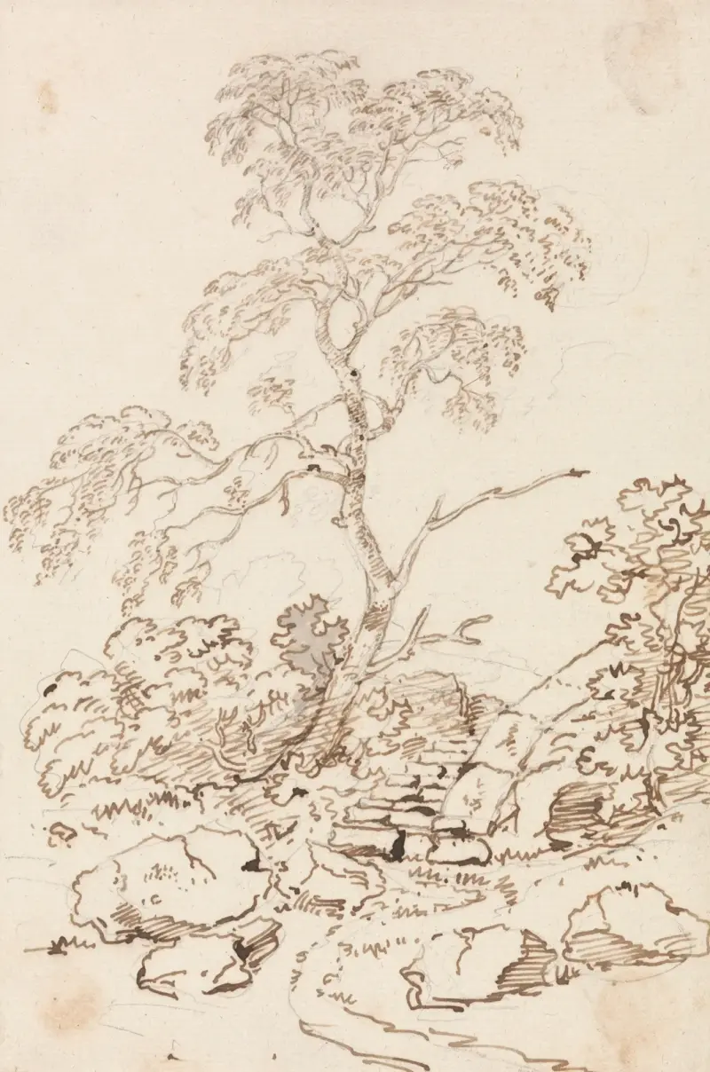 Tree by Steps av George Howland Beaumont