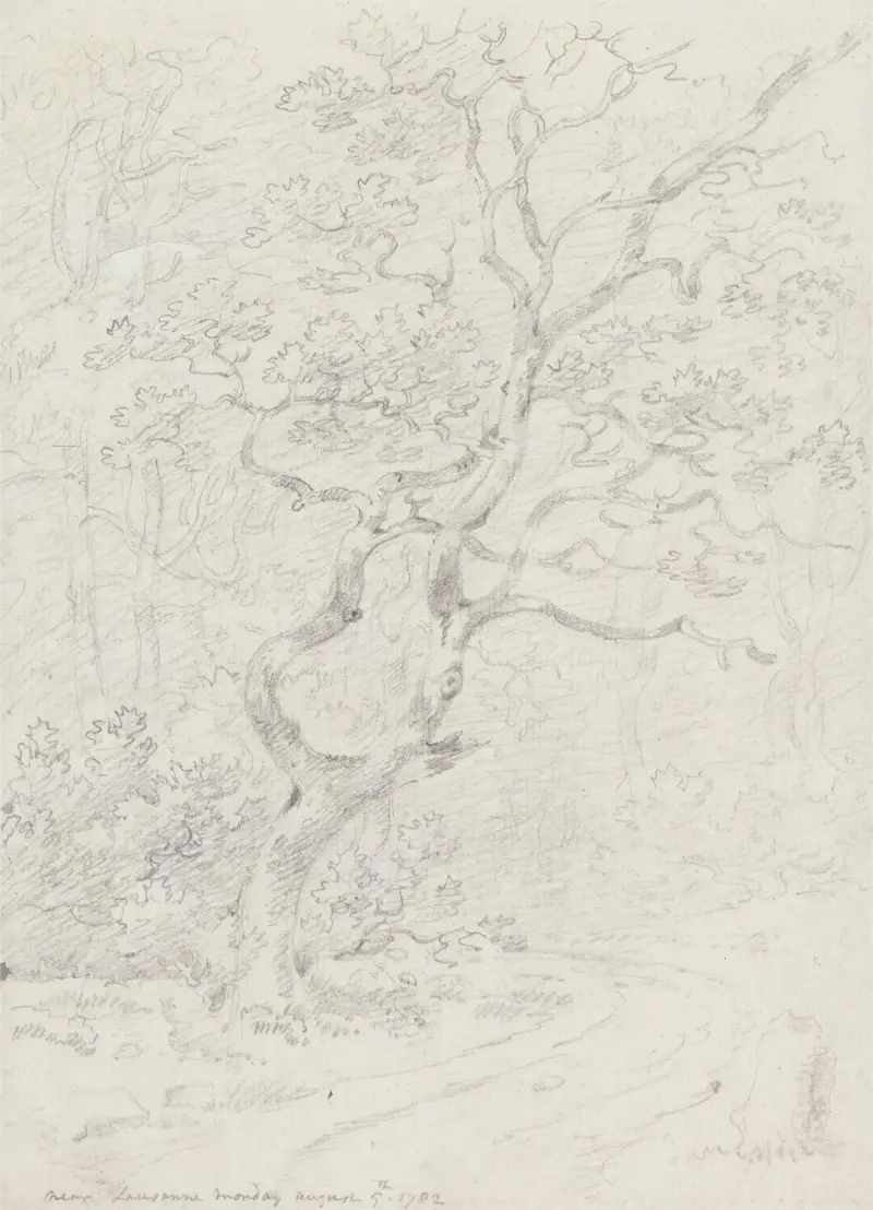 Drzewa, niedaleko Lozanny, George Howland Beaumont