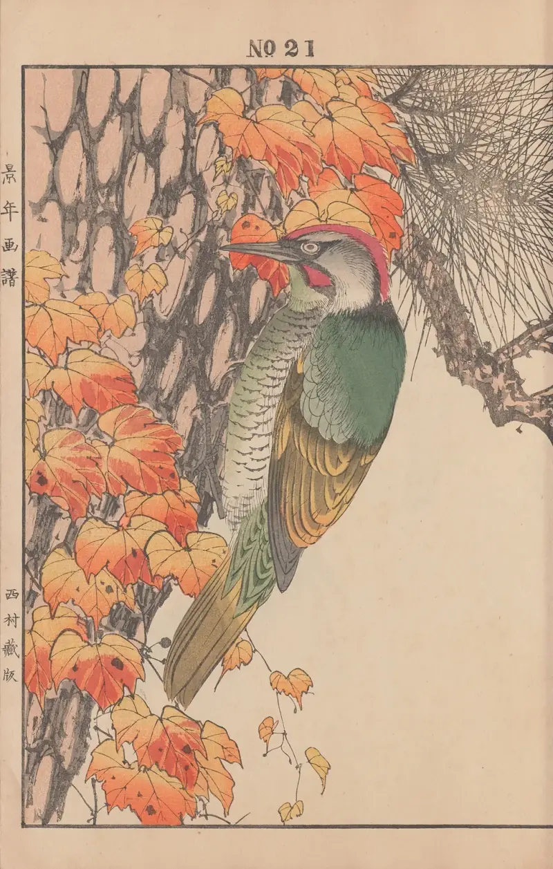 Keinen kachō gafu Pl.145, Imao Keinen