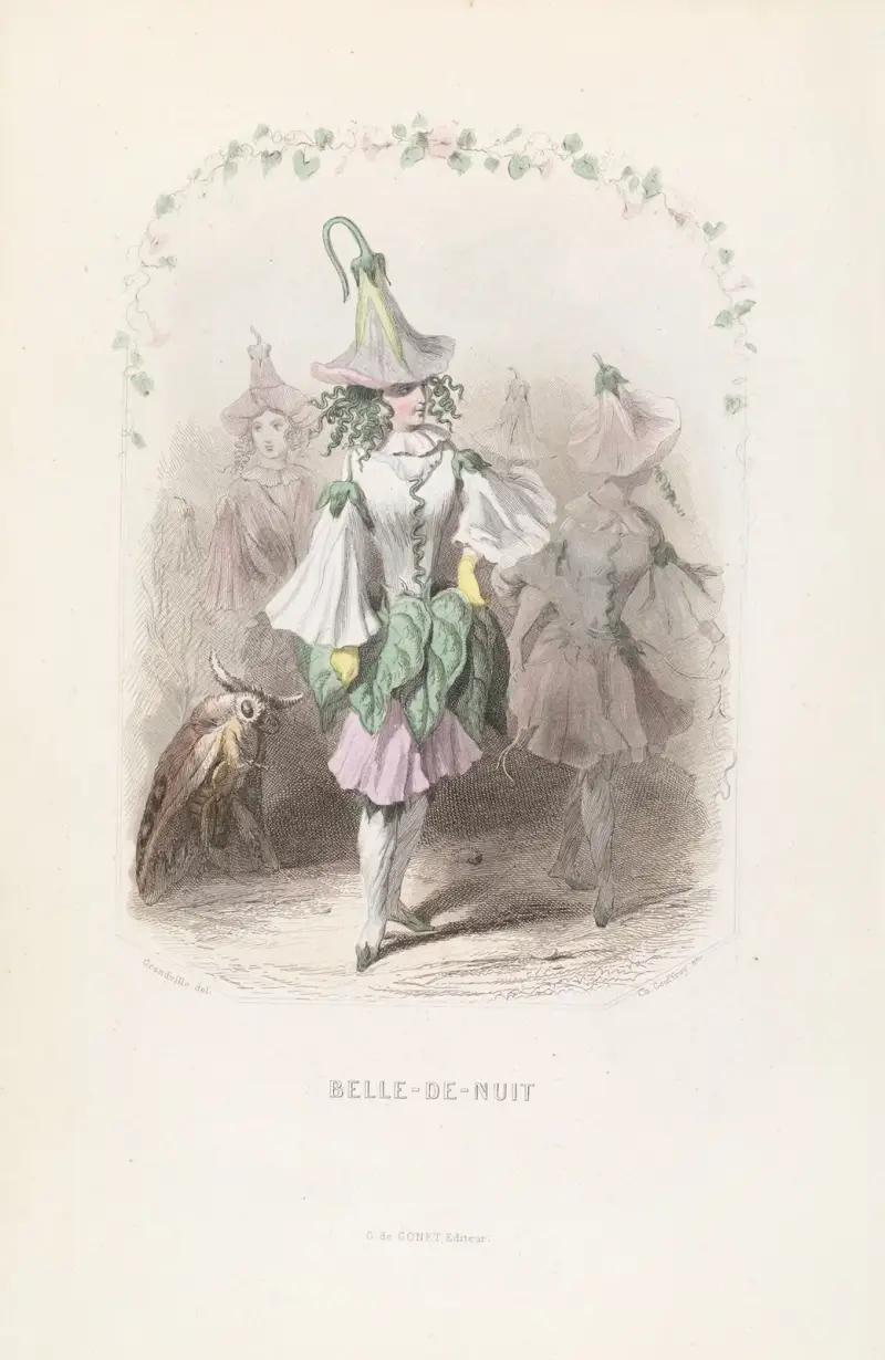 Wunderblume von J. J. Grandville