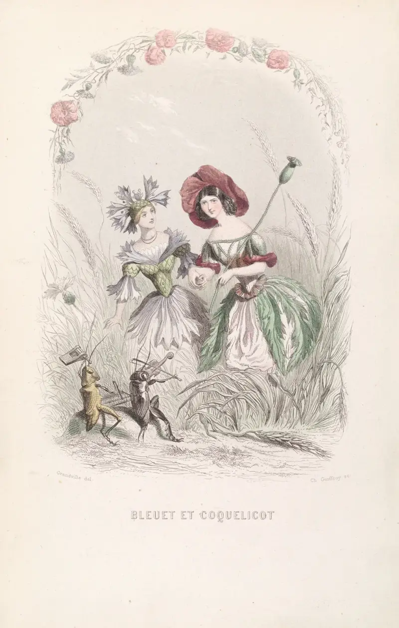 Blåklint och vallmo av J. J. Grandville