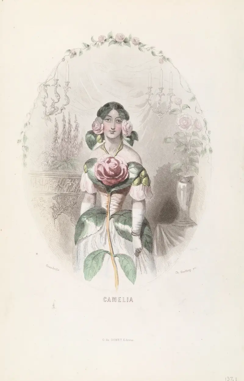 Kamelie von J. J. Grandville