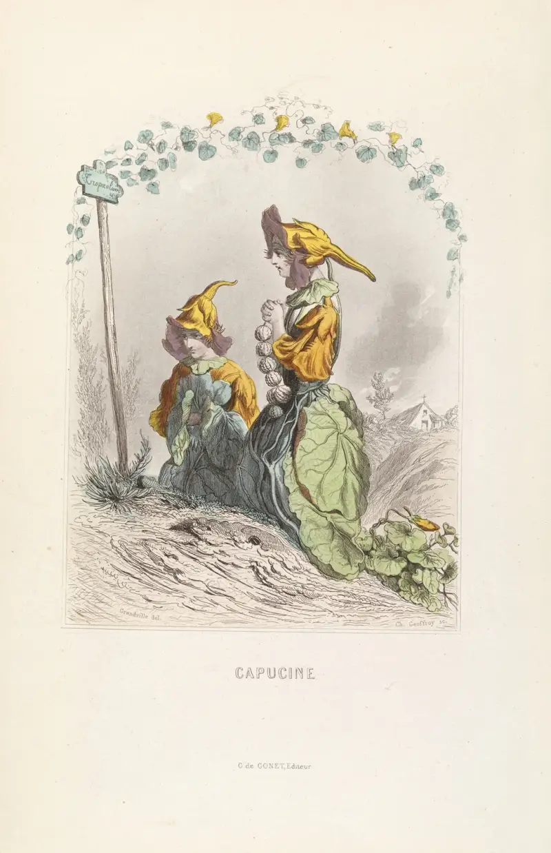 Capucine von J. J. Grandville