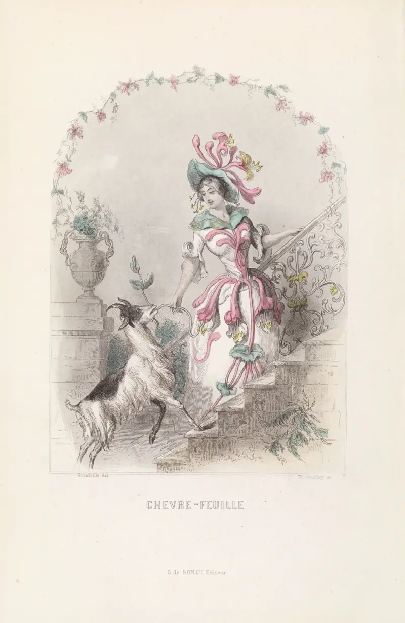 Chevre-Feuille von J. J. Grandville