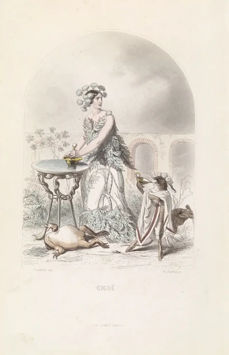 Ciguë, J. J. Grandville